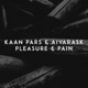 Pleasure Pain Single