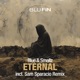 Eternal Remixes Single