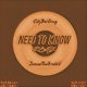 Need To Know feat JamesThe3rd Remix Remix Single