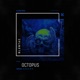 Octopus Radio Edit Single