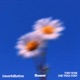 ineverfeltbefore Single