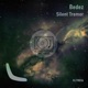 Silent Tremor Single