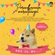 PORANDHANAALA MARANTAANGA feat Vaan Single