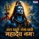Jata Dhari Ganga Dhari Mahadev Namah Single