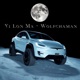 Yii lon musk Single