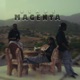 MAGENTA Single