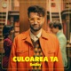 Culoarea ta Single