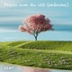 Precis Som Du Vill Skånska Single