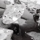 shattered Single