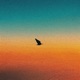 FLY Single