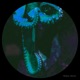 Unlit Error Single