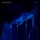 Downfall Single