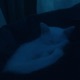 endlesslove Single