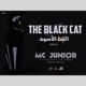 The Black Cat Single