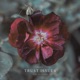 Trust Issues Single