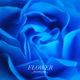 Flower Single