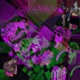Supernova feat Busby999 Single