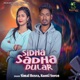 Sidha Sadha Dular Single