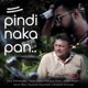 Pindinaka Pan feat Sunaad Gowtham Single