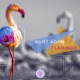 Flamingo Single
