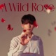 A Wild Rose The 3rd Mini Album
