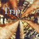 Trip Single