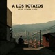 A LOS TOTAZOS Single