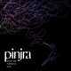 Pinjra Single