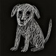 DOG Single