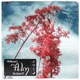 The Spore EP