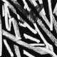Throwaway Songs For My Enjoyment feat KaiJNb Single