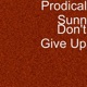 Don t Give Up Single