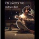 calm after the hurricane Single