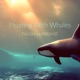 Floating With Whales Single