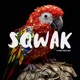SQWAK Freestyle Single