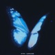Mirage Single