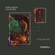 Dark Side Single