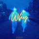 Why feat Ankit Jassal Single