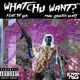 Whatchu Want feat Ty Ler Single