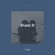Want It Single