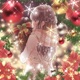Last Xmas Someone Special feat Pröz Single