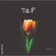 Tulip feat Lost Sky Leavv Unknown Brain Single