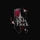 BIRDS FLOCK feat CasperDidIt Single