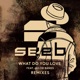 What Do You Love feat Jacob Banks Remixes