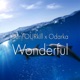 Wonderful Single