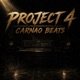 Project 4 Single