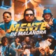 Mente De Malandra Single