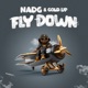 Fly Down Single