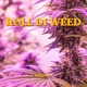 roll di weed Single
