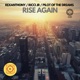 Rise Again Single